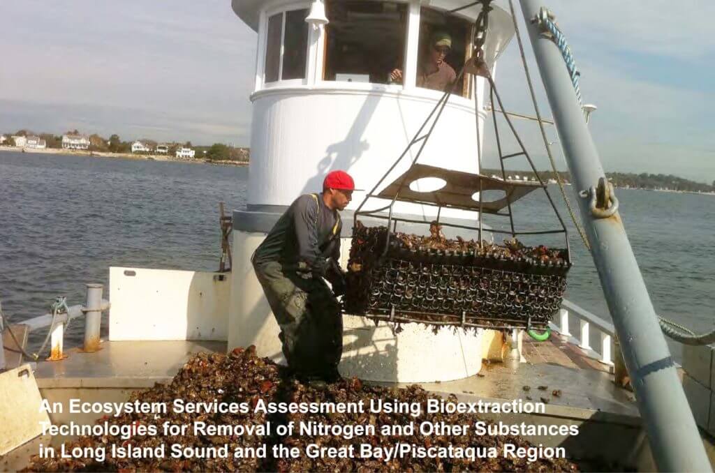 Sustainability East Coast Shellfish Growers Association